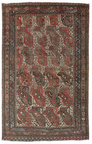  182X288 Antic Ghashghai Ca. 1900 Covor Maro/Negru Persia/Iran 